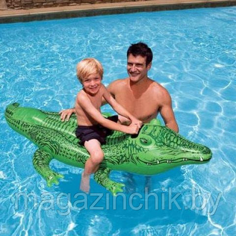 Intex 58546 Надувной плот наездник детский Крокодил 168х86 см, Интекс купить в Минске - фото 1 - id-p2940959