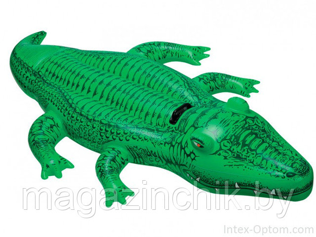 Intex 58546 Надувной плот наездник детский Крокодил 168х86 см, Интекс купить в Минске - фото 2 - id-p2940959