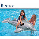 Intex 58535 Надувной плот наездник детский Дельфин 175х66 см, Интекс купить в Минске, фото 4