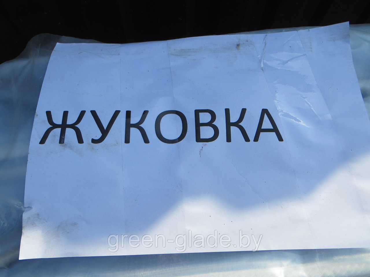 Раскладушка Жуковка с пружинным матрасом! - фото 3 - id-p8780049