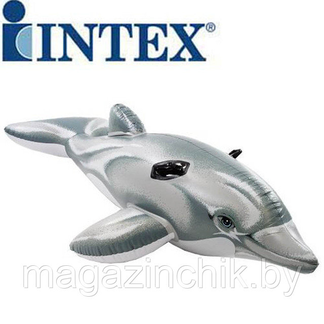 Intex 58539 Надувной плот наездник детский Большой Дельфин 201х76 см, Интекс купить в Минске - фото 1 - id-p2956710