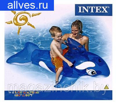 Intex 58523 Надувной плот наездник детский Касатка 163х76 см, Интекс купить в Минске - фото 1 - id-p2956723