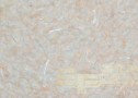 Жидкие обои SILK PLASTER Оптима 058