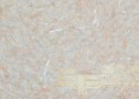 Жидкие обои SILK PLASTER Оптима 058 - фото 1 - id-p66965598