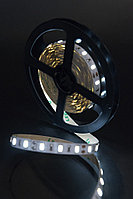 Светодиодная лента SMD 5630 (60LED/m, 12W, 12V, IP20)