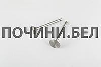 Клапаны (комплект) дизель R180 180N пара Диаметр D-7mm