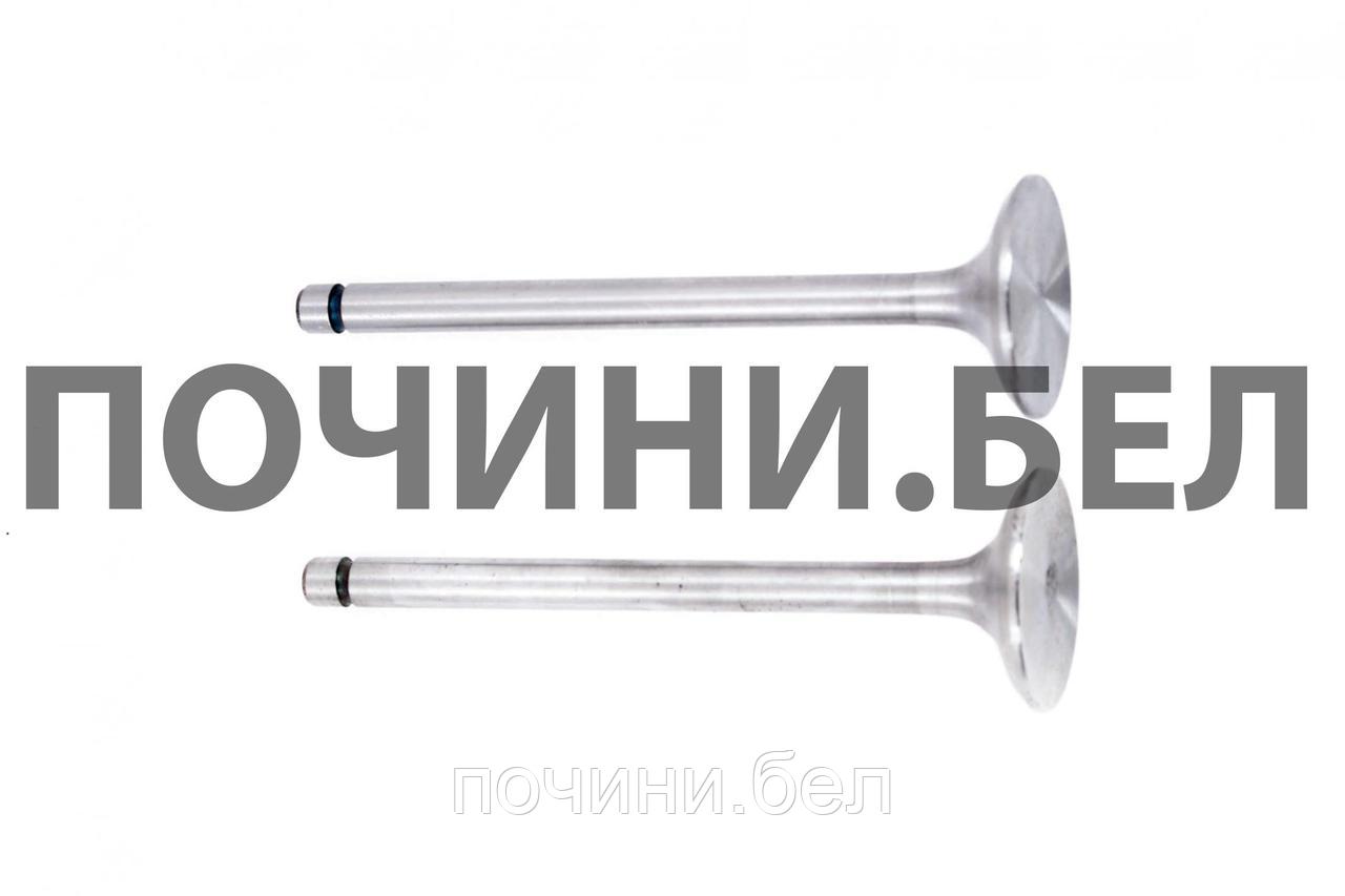 Клапаны голые 195N (12Hp) "XING"