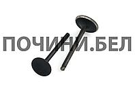 Клапаны (пара, голые) скутера 4T GY6 150 157QMJ (L-66mm) Китай