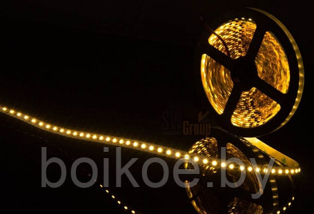 Закрытая светодиодная лента SMD 3528 120LED/m IP65 12V Холодный белый, теплый белый, фото 2