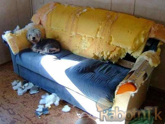 Обивка и ремонт дивана, кресел Минск - фото 1 - id-p67452887