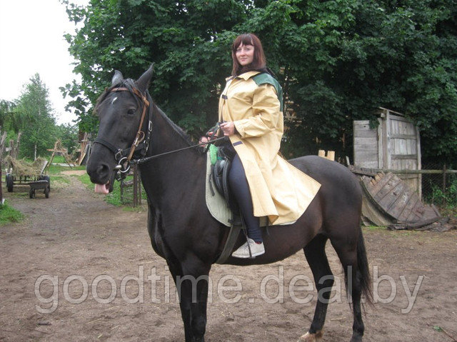 Катание на лошадях Минск - фото 6 - id-p2935538