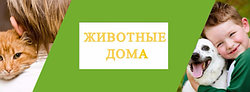 ДЕТИ И ДОМАШНИЕ ПИТОМЦЫ