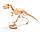 Набор для раскопок «ЮНЫЙ АРХЕОЛОГ» тиранозавр BRADEX DE 0274, фото 3