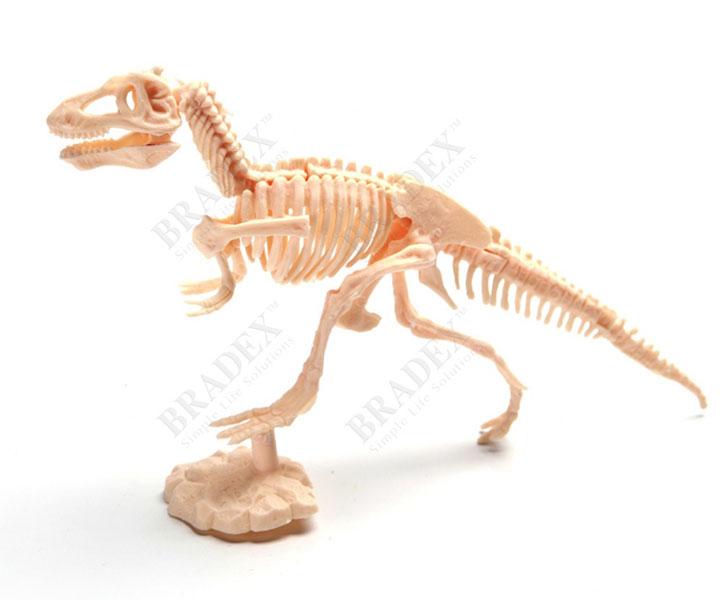 Набор для раскопок «ЮНЫЙ АРХЕОЛОГ» тиранозавр BRADEX DE 0274 - фото 3 - id-p67756679
