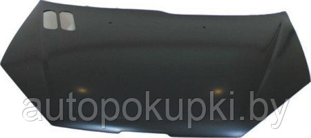 Капот Пежо 206 1998- 2006, PPG20011(K)A