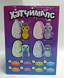 Интерактивная игрушка Пингвинчик в яйце Hatchimals Хэтчималс CH-301(аналог), фото 4