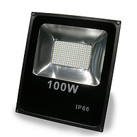 Светодиодный прожектор SMD 100W (IP65, 220В)