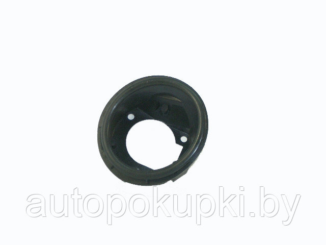 РАМКА ПРОТИВОТУМАННОЙ ФАРЫ (ПРАВАЯ) Renault Clio II 2001-2005, PRN99000(WE)R