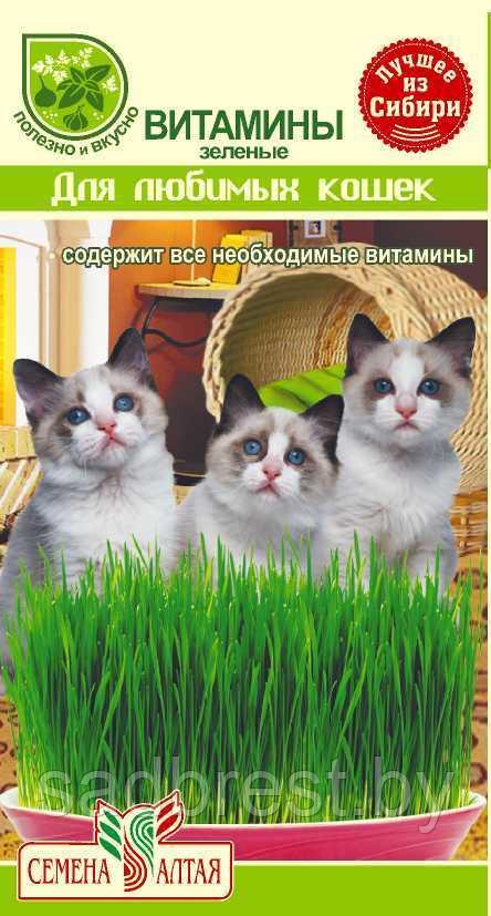 Семена Трава зелень для кошек (10 гр)