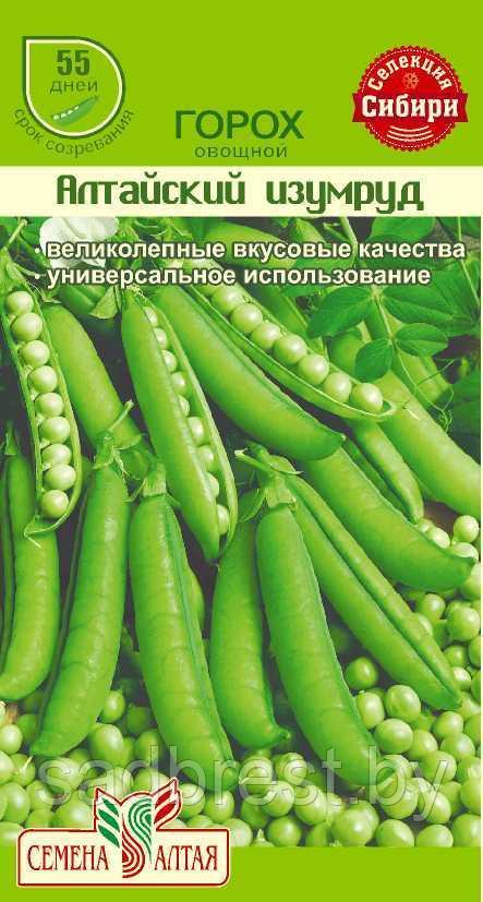 Семена Горох овощной Алтайский Изумруд (10 гр) Семена Алтая
