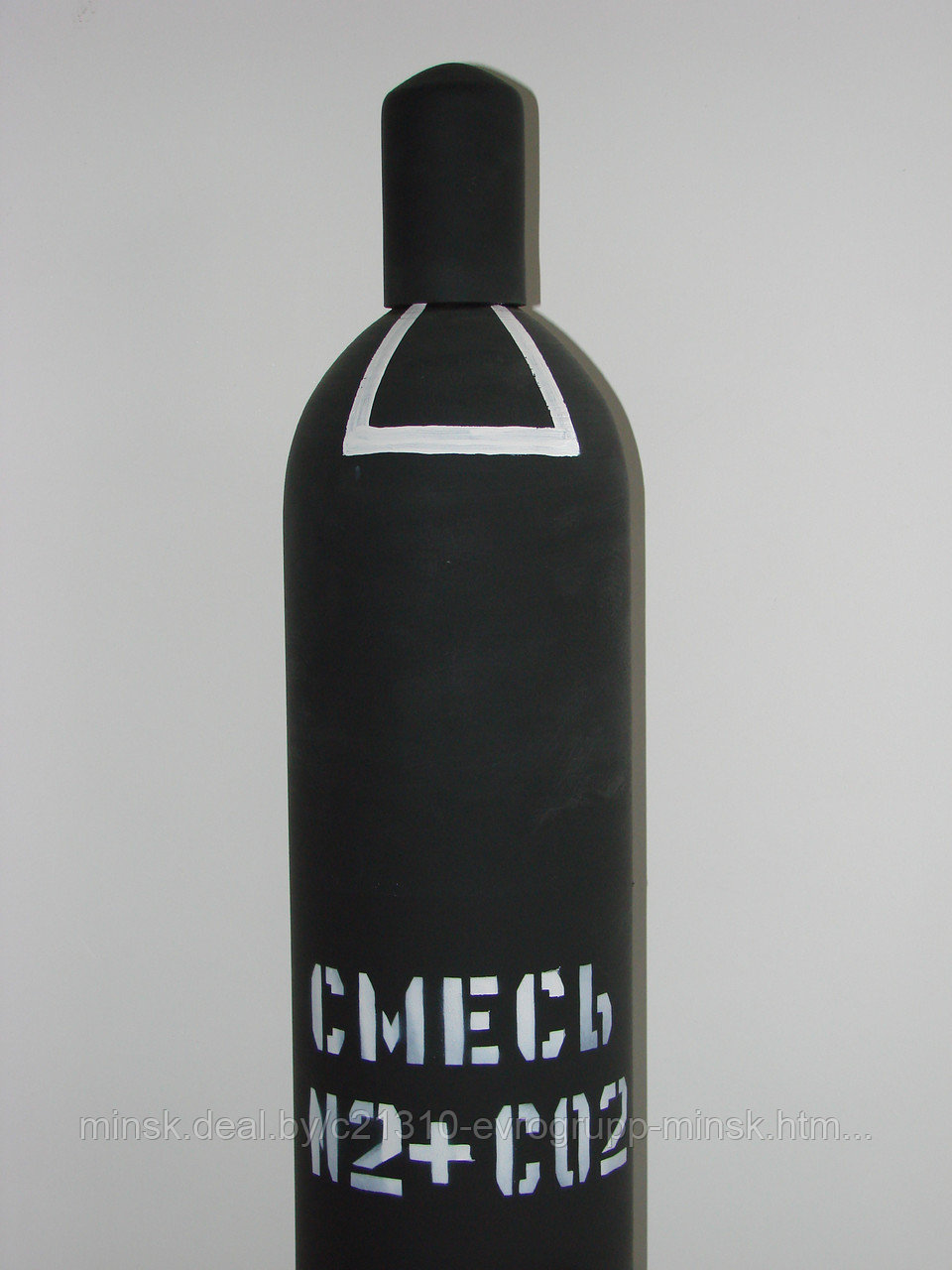 Смесь пищевая (азот-углекислота, 70%N2 + 30%CO2)