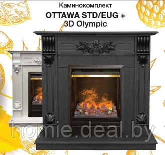 Ottawa STD + 3D Olympic - фото 1 - id-p68508126