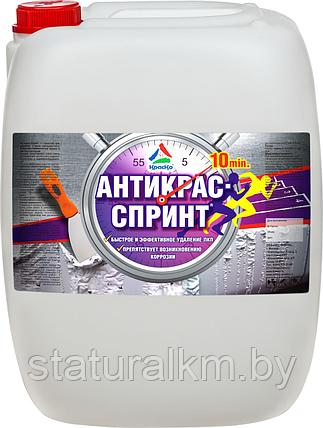 Антикрас-Спринт — супербыстрая смывка для старой краски, фото 2