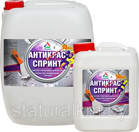 Антикрас-Спринт — супербыстрая смывка для старой краски, фото 2