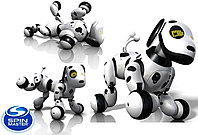 Интерактивная собака-робот Zoomer Далматинец Spin Master