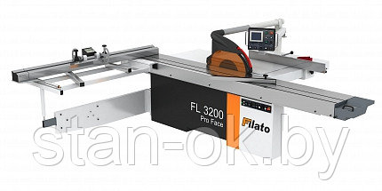 Форматно-раскроечный станок FILATO FL-3200 ProFace