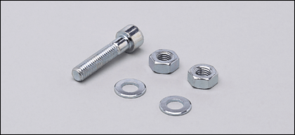 E21209 | SCREW M10X45 500