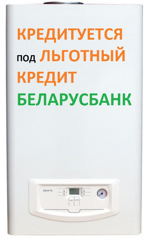 Газовый котёл BellaGas CB-24-TF, фото 2