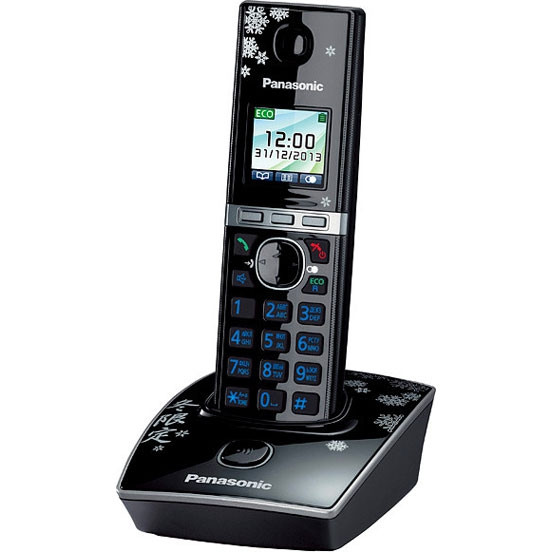 Радиотелефон Panasonic KX-TG8051 - фото 1 - id-p68793533