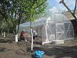 Купить Теплицу из поликарбоната 4мм "Сибирские теплицы" плотность 0,6кг/м2 Урожай ПК 4м, фото 3