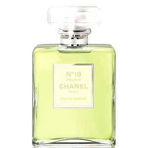 Женская парфюмированная вода Chanel №19 Poudre 100ml