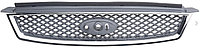 Решетка радиатора Форд Фокус 2 04-08, 1508157