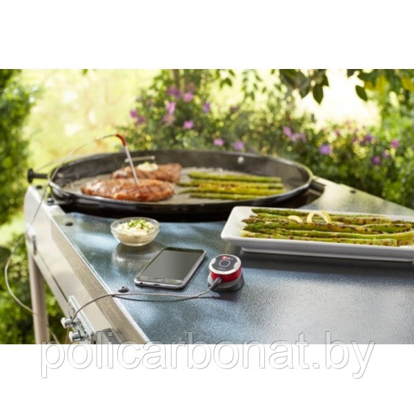 Цифровой термометр iGrill Mini - фото 3 - id-p69079314