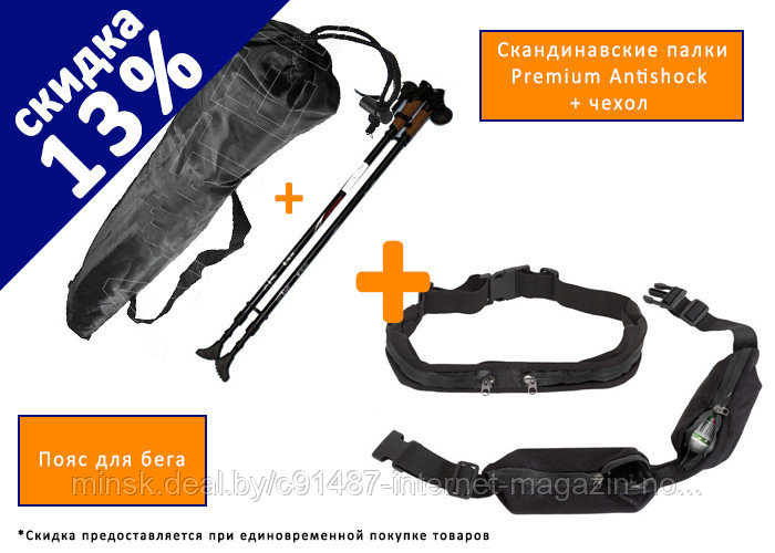 Скандинавские палки Premium Antishock + чехол + Пояс для бега - фото 1 - id-p69190450