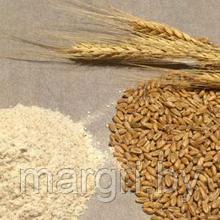 Глютен пшеничный