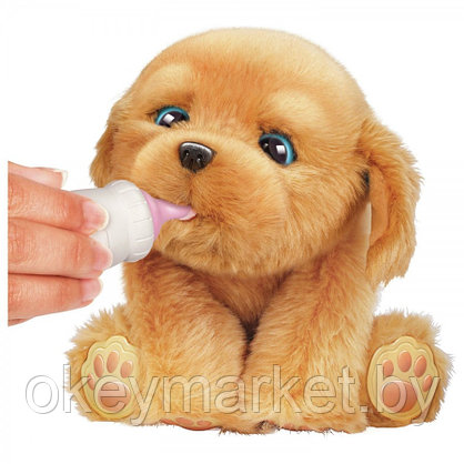 Интерактивная игрушка Щенок моей мечты Little Live Pets 26448, фото 3