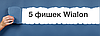 5 фишек Wialon, о которых Вы не знали