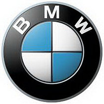 Коврики в салон и багажник BMW