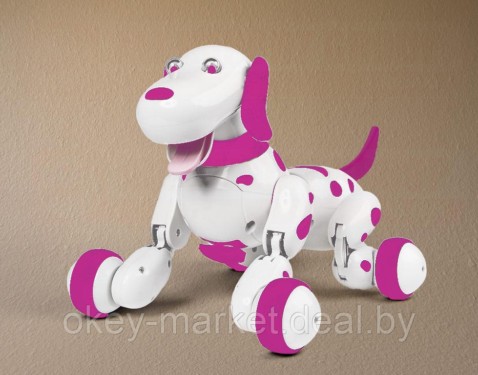 Радиоуправляемая робот-собака HappyCow Smart Dog Рink 777-338 - фото 8 - id-p69425637