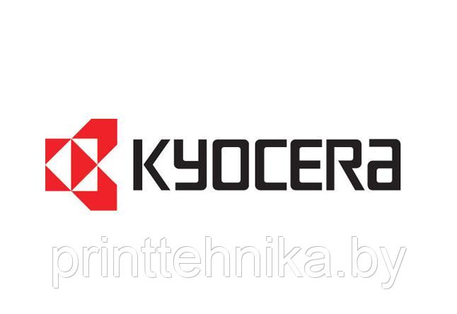 Флажок датчика регистрации Kyocera FS2000D - фото 1 - id-p32936269