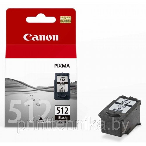 Картридж Canon PIXMA MP240/260/480 (O) PG-512, BK - фото 1 - id-p66973458