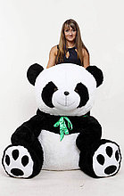 Огромная плюшевая панда 220 см
