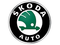 Коврики в салон и багажник Skoda