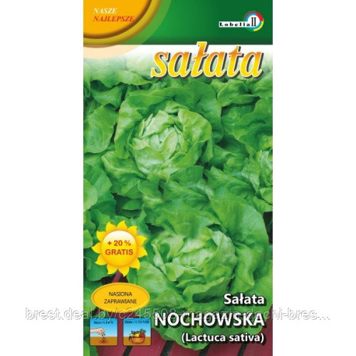 Салат "Ноховска", 0,5 г Польша
