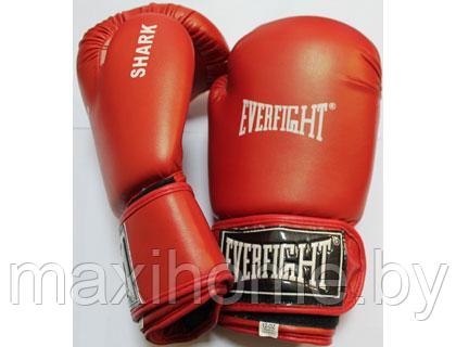Перчатки боксерские EVERFIGHT EGB-522 SHARK - фото 1 - id-p69683925