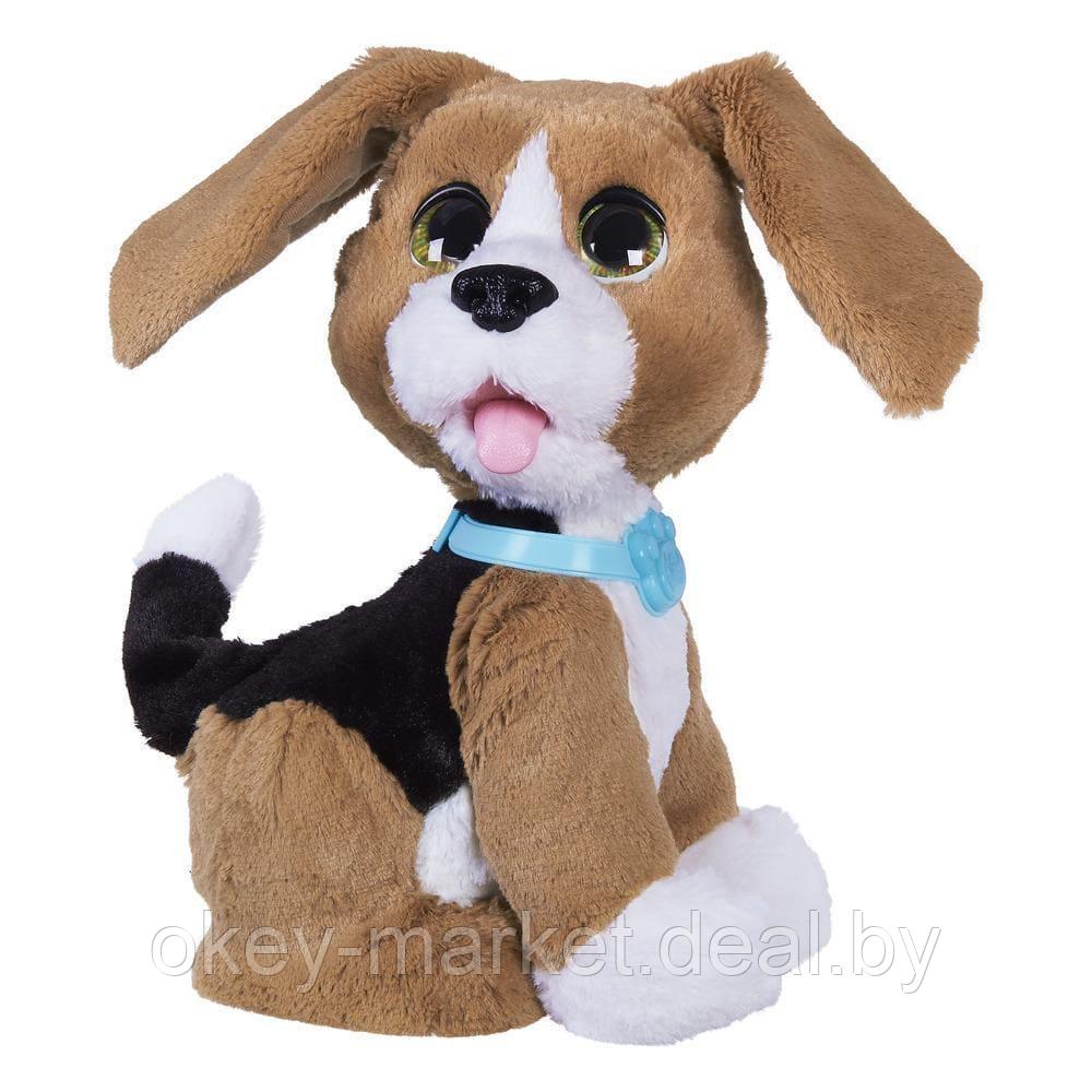Интерактивная игрушка Говорящий щенок Чарли FurReal Friends Hasbro B9070 - фото 2 - id-p69773535